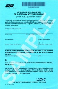 Sample DMV Completion Form DL387